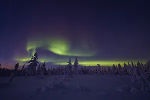 Northern Lights (Aurora borealis)
