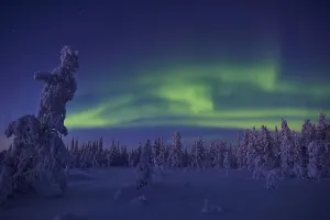 Northern Lights (Aurora borealis)