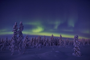 Northern Lights (Aurora borealis)