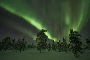 Northern Lights (Aurora borealis)