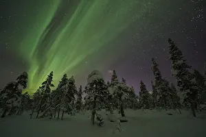 Northern Lights (Aurora borealis)