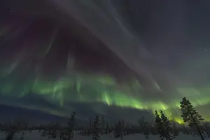 Northern Lights (Aurora borealis)