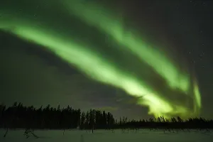 Northern Lights (Aurora borealis)