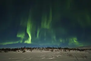 Northern Lights (Aurora borealis)