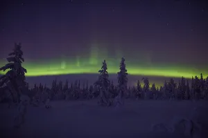 Northern Lights (Aurora borealis)