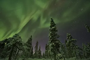 Northern Lights (Aurora borealis)