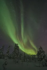 Northern Lights (Aurora borealis)