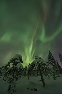 Northern Lights (Aurora borealis)
