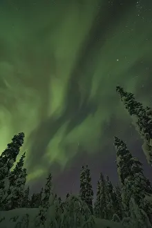Northern Lights (Aurora borealis)