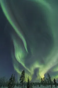 Northern Lights (Aurora borealis)