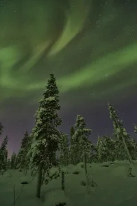 Northern Lights (Aurora borealis)