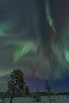 Northern Lights (Aurora borealis)