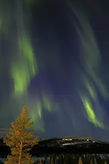 Northern Lights (Aurora borealis)