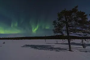 Northern Lights (Aurora borealis) over moonlit winter landscape