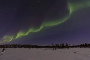 Northern Lights (Aurora borealis) over a moonlit winter landscape