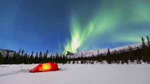 Category Scandinavia Prints: Northern Lights (Aurora borealis) above a red illuminated tent in winter