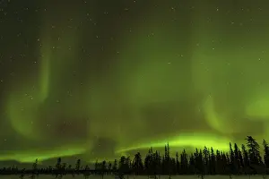Northern Lights (Aurora borealis) over snowy landscape