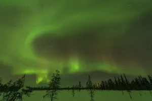 Northern Lights (Aurora borealis) over snowy landscape