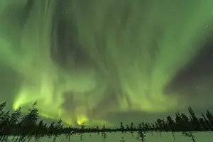 Northern Lights (Aurora borealis) over snowy landscape