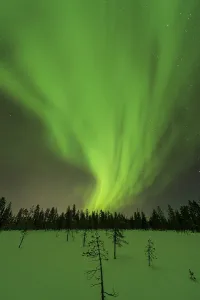 Northern Lights (Aurora borealis) over snowy landscape
