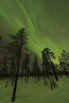 Northern Lights (Aurora borealis) over snowy landscape