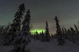 Northern Lights (Aurora borealis) over snowy landscape