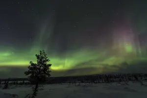 Northern Lights (Aurora borealis) over snowy landscape