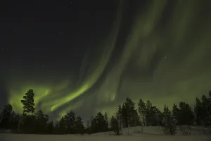 Northern Lights over forest, Aurora borealis