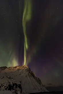 Northern Lights in Myrland, Lofoten