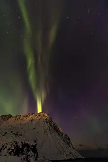 Northern Lights in Myrland, Lofoten