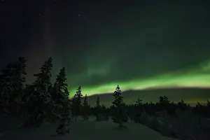 Northern Lights, Norrbotten, Lapland