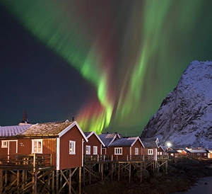 Northern Lights in Pure Historic Fishing Lofoten Norway