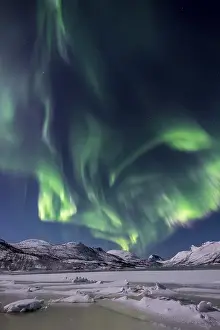 Category Scandinavia Prints: Northern lights over the Senja Island