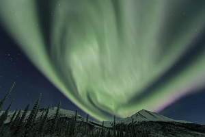 Northern Lights over snowy mountains and trees