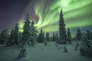 Northern lights over winter landscape