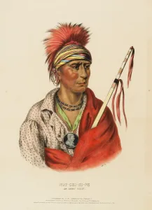 Not-Chi-Mi-Ne. An Ioway Chief (1838)