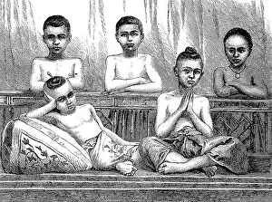 Novices, Buddhist temple students