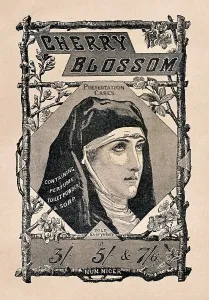 A nun in a Cherry Blossom Nun Nicer advertisement