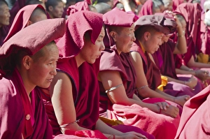Category Buddhism Prints: Many nuns wearing red cloths listening the teachings of Taklung Tsetru Rinpoche in the backyard of Junbesi Gompa