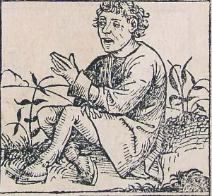 The Nuremberg Chronicle is an illustrated world history