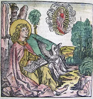 The Nuremberg Chronicle is an illustrated world history