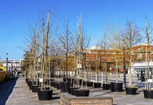 Nursery Kulturforum, open-space garden installation