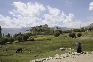 Oasis with Phiyang monastery, Ladakh