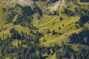 Category Mountain Landscapes Prints: Obere Lugen Alpe in the Oytal valley below the Hahnenkoepfl