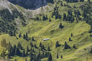 Category Mountain Landscapes Prints: Obere Lugen Alpe in the Oytal valley below the Hahnenkoepfl