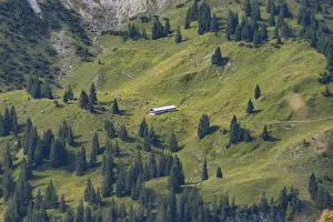 Category Mountain Landscapes Prints: Obere Lugen Alpe in the Oytal valley below the Hahnenkoepfl