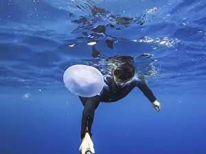 Observation of jellyfish during snorkeling in Dahab in Egypt
