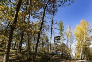 Observation tower in the Blockheide nature park Park near Gmund
