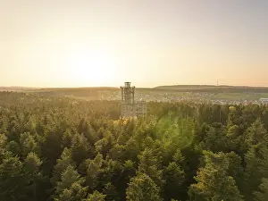 An observation tower rises above a green forest under a golden sunset