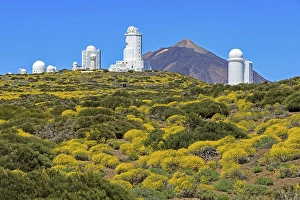 Observatorio del Teide, Teide Observatory